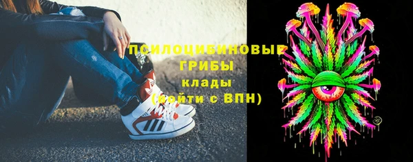 ешки Володарск