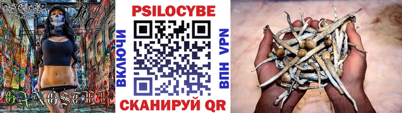 ссылка на мегу Муром Галлюциногенные грибы Magic Shrooms