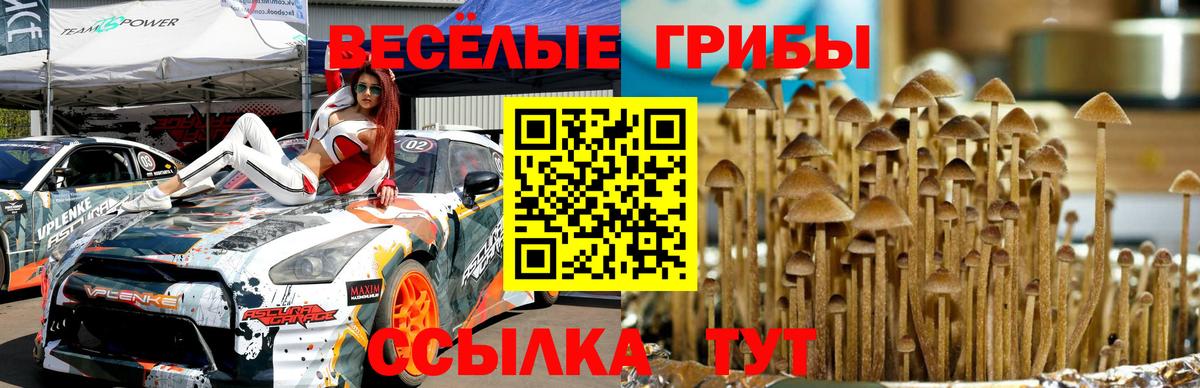 Псилоцибиновые грибы мицелий Муром
